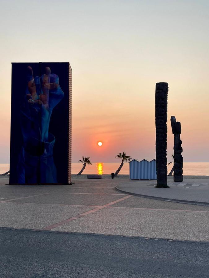 T2 avec terrasse, vue étang et son coucher de soleil, plage à proximité, wifi et place de parking gratuit que l on nomme Grain de Corail Le Barcarès Exterior foto